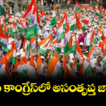 Congress Party Group Poiltics